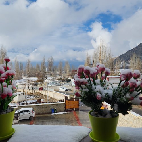 HOTEL CHANTSA (Leh, Ladakh) - Hotel Reviews, Photos, Rate