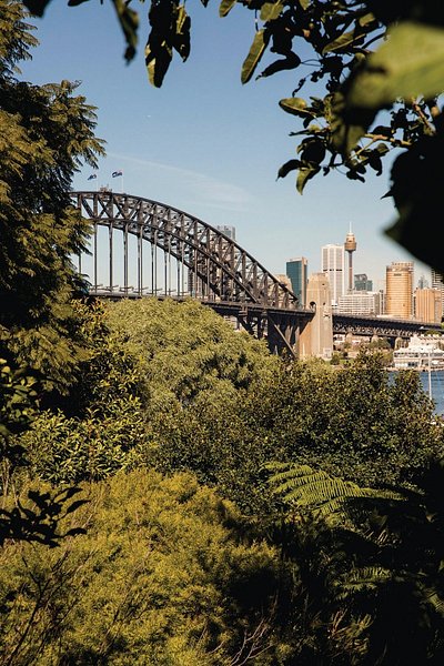 View of the Sydney Harbour from Wendy's Secret Garden