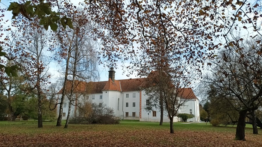 The city park is one of the most beautifully preserved castle parks in Slovenia and covers an area of ​​nine and a half hectares. It has two-hundred-year-old oaks, hornbeams, lindens, patches of grass typical of an English park, and a small artificial lake.