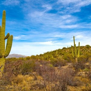 Oro Valley Zip Code