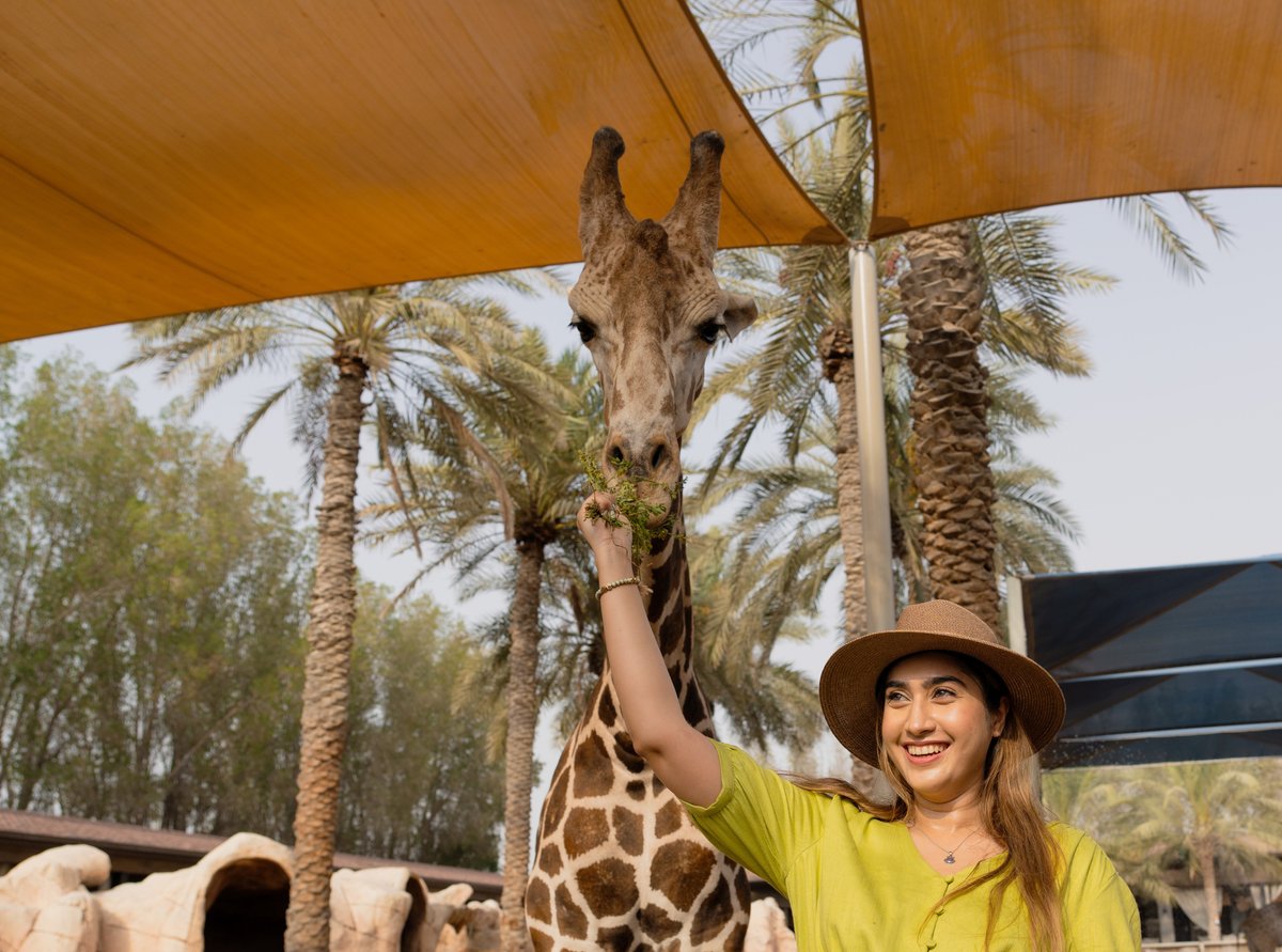 Emirates Park Zoo & Resort, Абу-Даби: лучшие советы перед посещением -  Tripadvisor