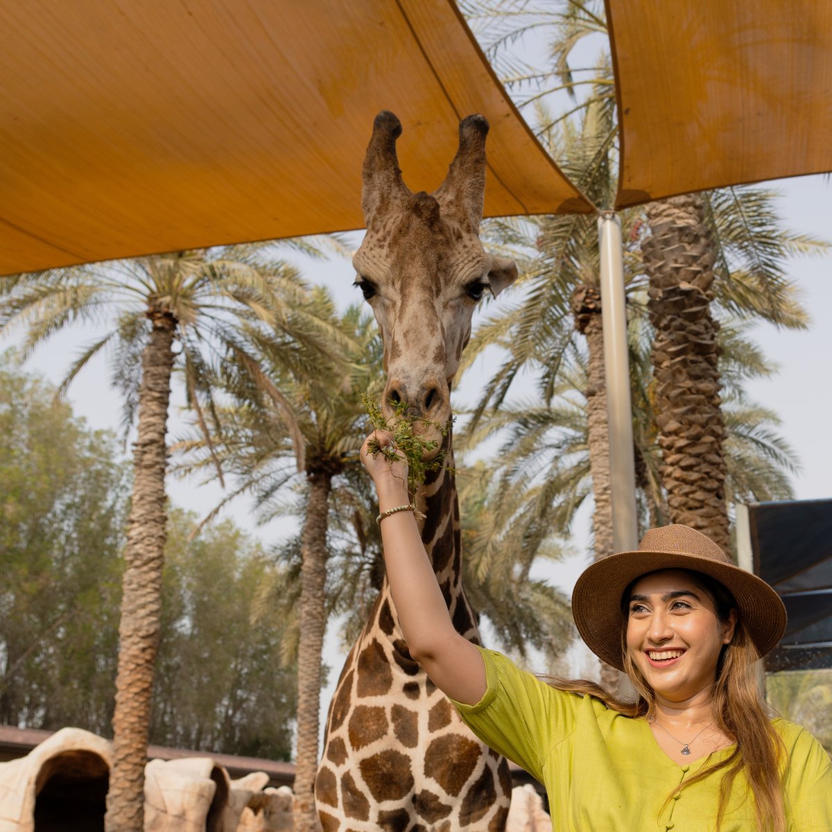 Emirates Park Zoo & Resort, Абу-Даби: лучшие советы перед посещением -  Tripadvisor