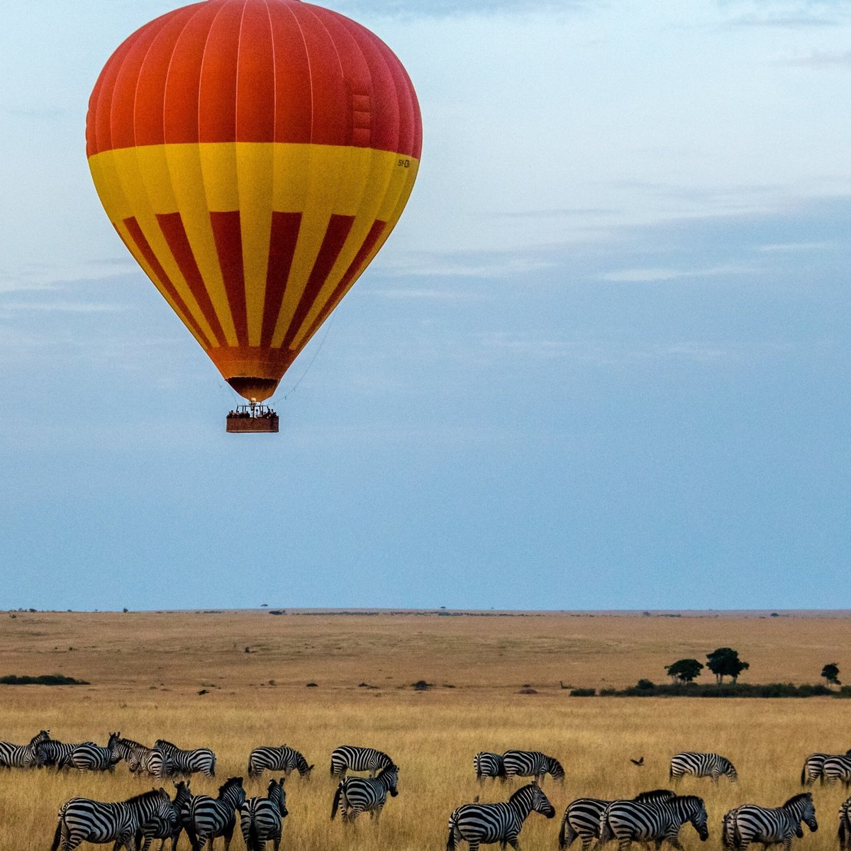 Vigorous Safaris Arusha Tanzania Address Phone Number Tripadvisor 2627