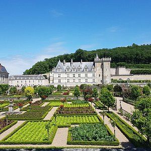 Tourbe - Jardins de France