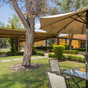 Jardin