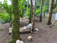 The Forbidden Corner in Yorkshire – a magical and mysterious family  attraction with surprises around every corner - our review and top tips -  The Family Holiday Guide