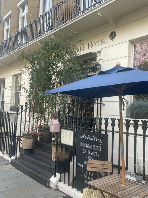 LIME TREE HOTEL - Updated 2024 Prices & B&B Reviews (London, England)