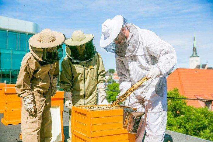 Meet Nordic Honey beekeepers — Nordic Honey