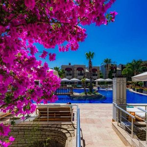Pool - outdoor