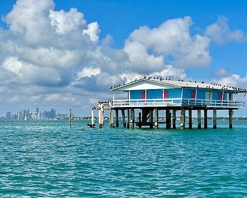 biscayne bay boat cruise