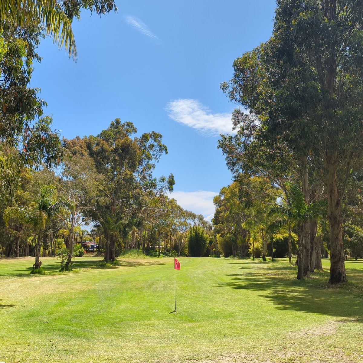 Golf Gardens - Big Ball Golf and Mini Golf