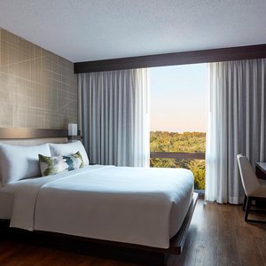 King Guest Room