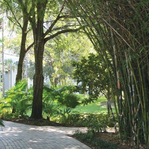 Marriott&#39;s Cypress Harbour Villas, hotel in Orlando