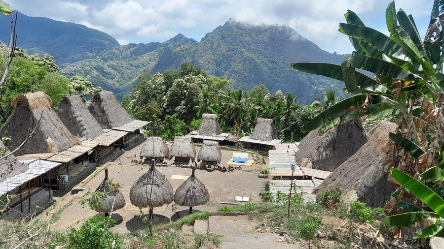 Explore the tour with local