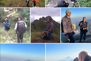 Wisatawan