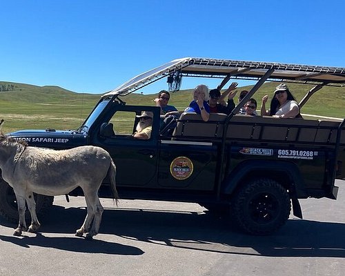 guided tours deadwood sd