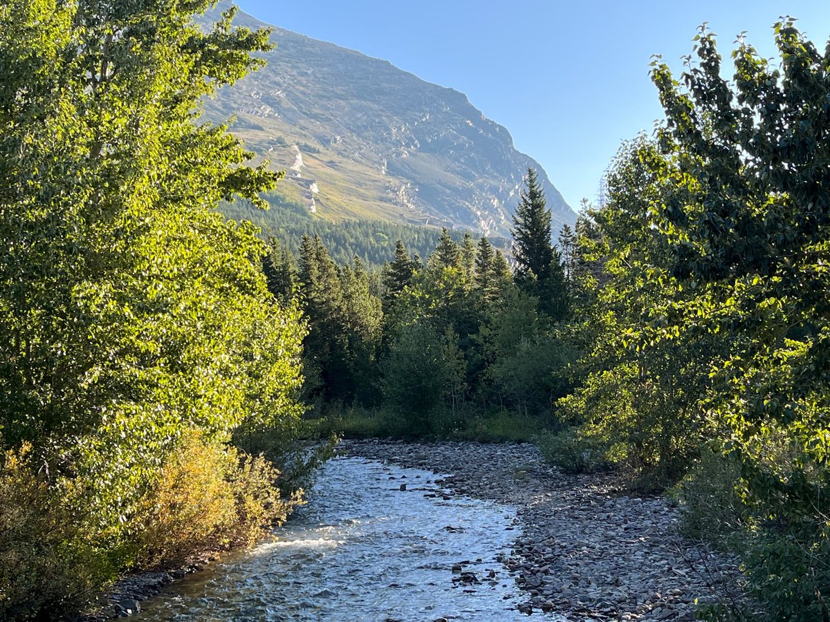 MANY GLACIER CAMPGROUND - Updated 2024 Reviews (Glacier National Park ...