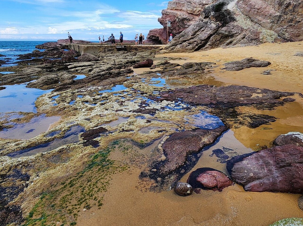Aslings Beach Rock Pool - All You Need to Know BEFORE You Go (2024)