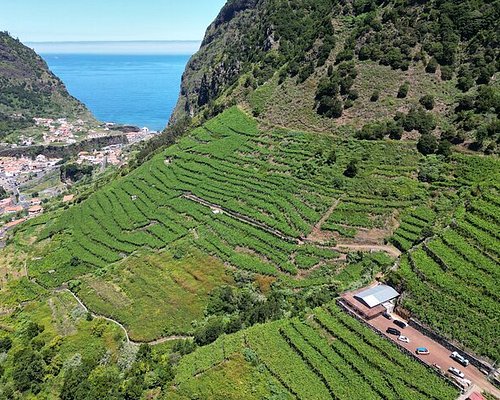 portugal wine tourism