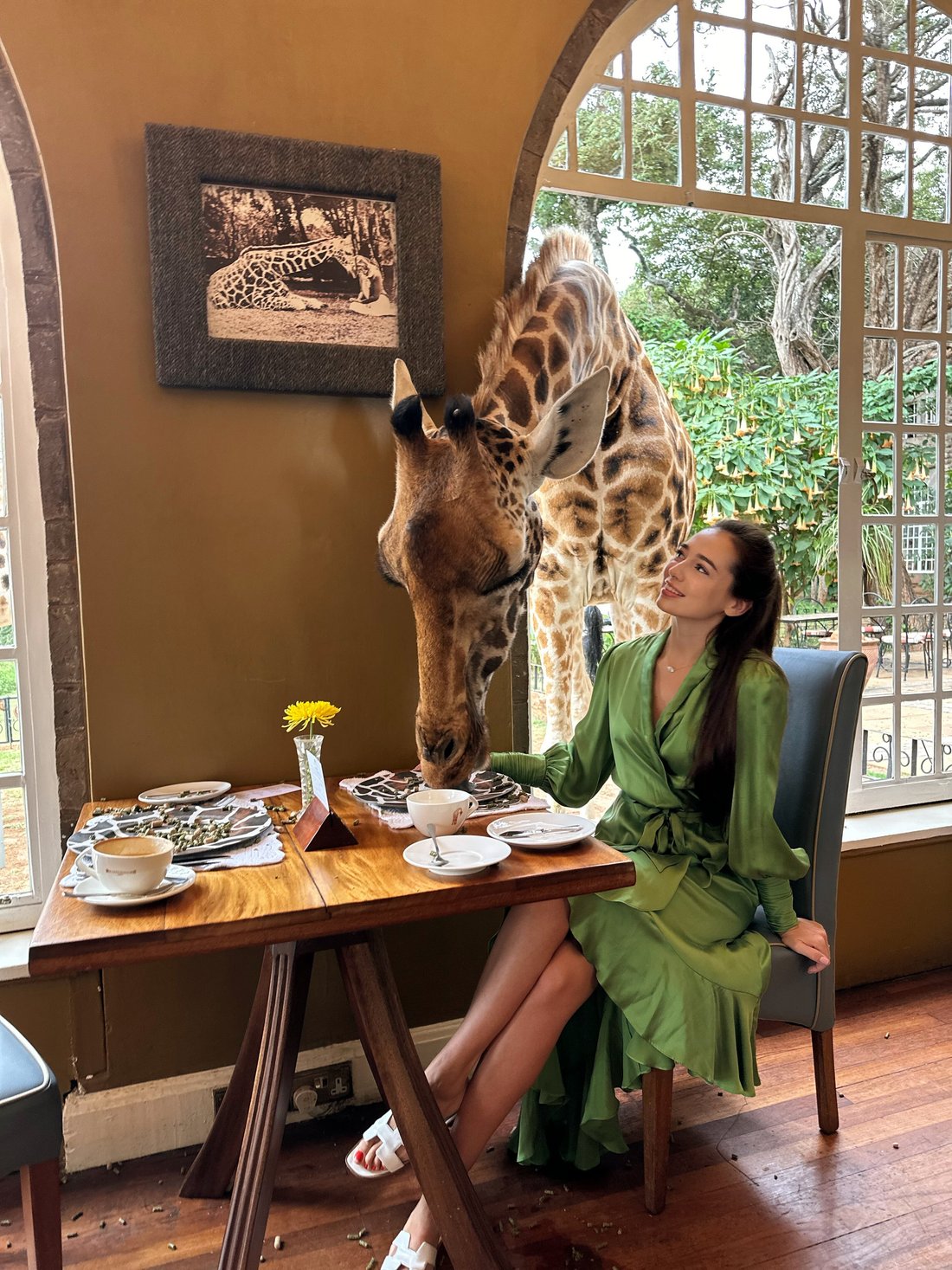 GIRAFFE MANOR (Кения/Найроби) - отзывы и фото - Tripadvisor