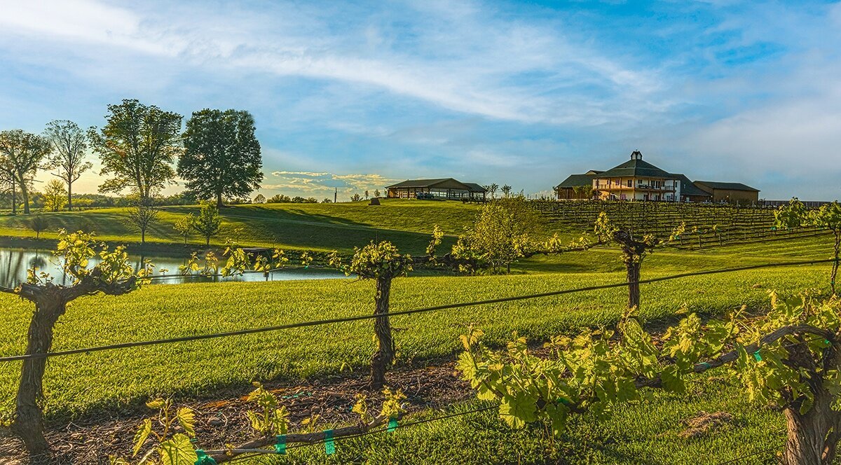 Rayson Winery and Vineyards (2025) All You Need to Know BEFORE You Go (with Reviews)