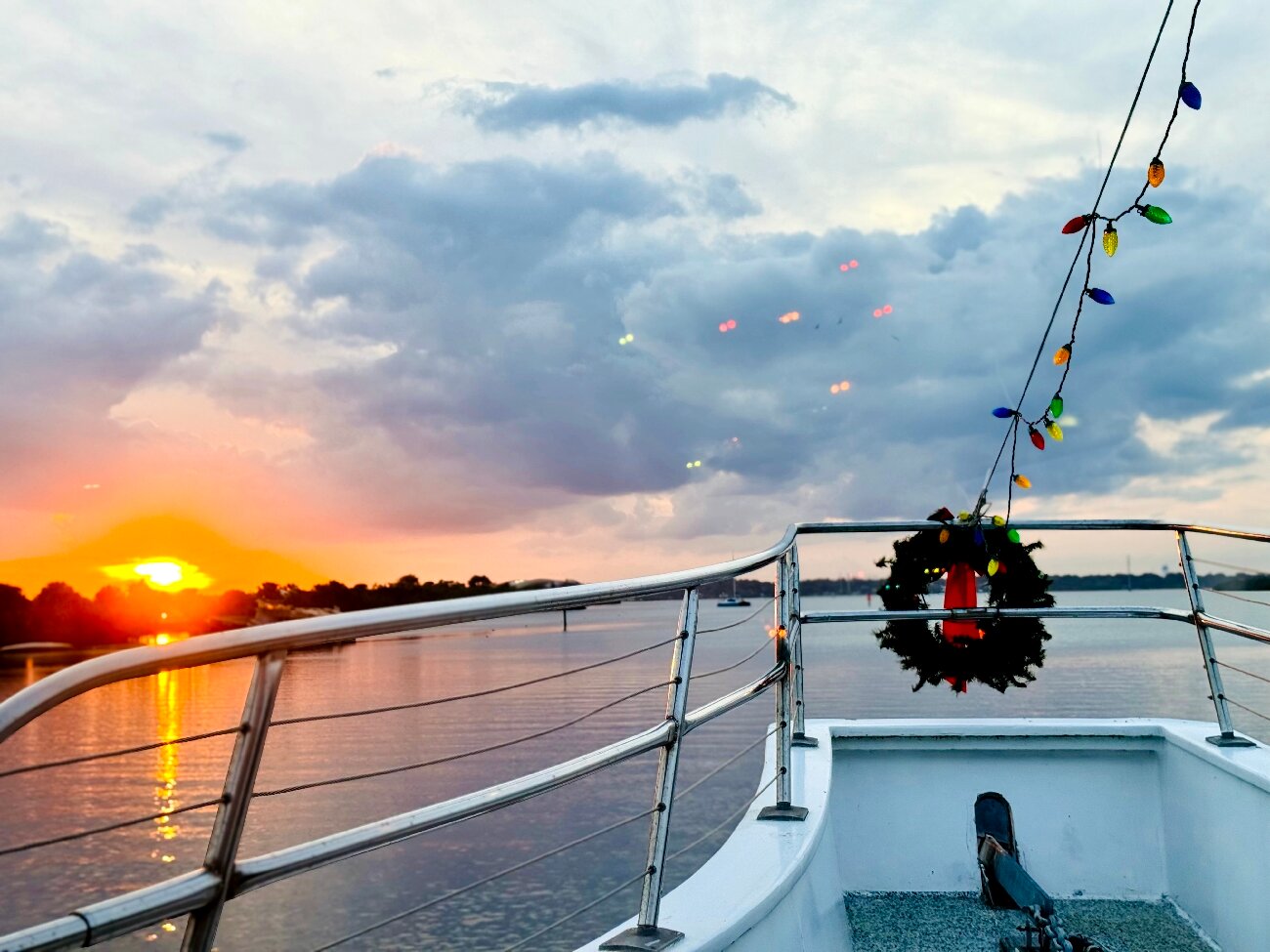 FLORIDA RIVER TOURS Merritt Island All You Need To Know BEFORE You Go   Caption 