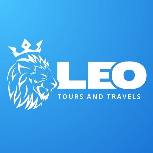 leo's bon voyage travel
