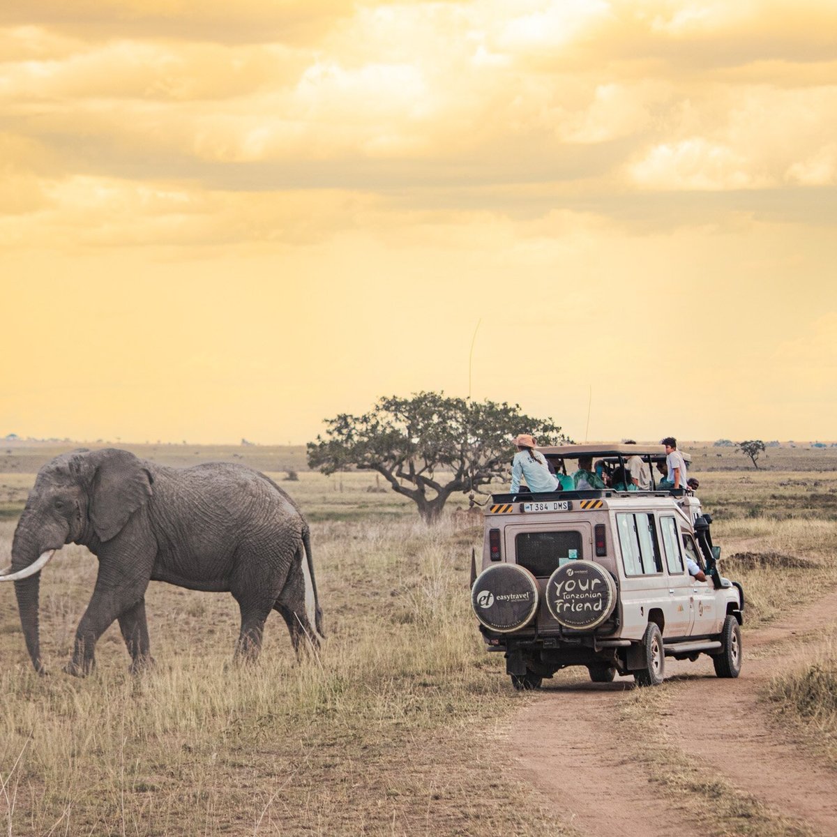 77 Famous Safari Quotes That Will Inspire You to Travel Africa