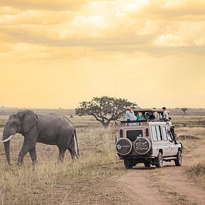 sky adventure tours & safaris