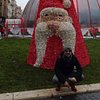 Sherpa26429656441