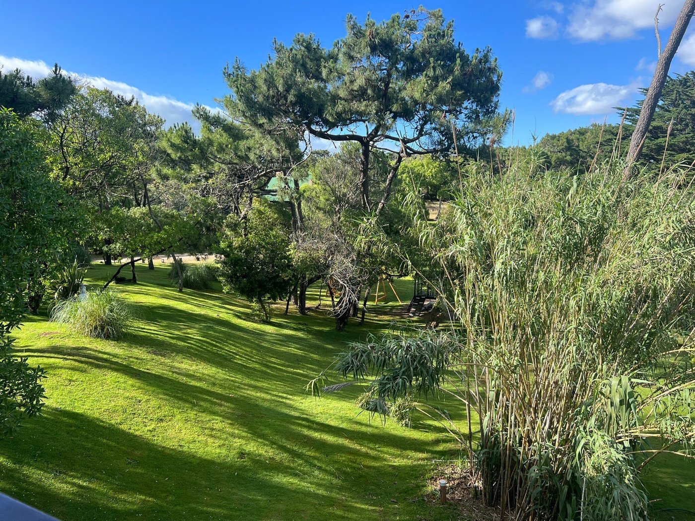 HARAS DEL BOSQUE - Prices & Hotel Reviews (Mar de las Pampas, Argentina) HARAS DEL BOSQUE - Prices &  Hotel Reviews (Mar de las... 