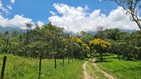 27/07 - Festival Gastronômico chega à Fazenda Nova Gokula e terá