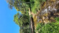 Um pedacinho da Serra da Mantiqueira e do Templo Hare Krishna na Fazenda  Nova Gokula. Essa foto foi de uma das inúmeras vezes que visitei este belo  lugar. – Bilde av Fazenda