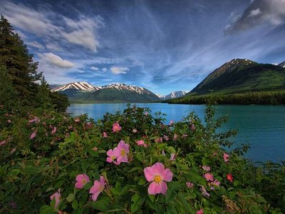 Anchorage, AK 2024: Best Places to Visit - Tripadvisor
