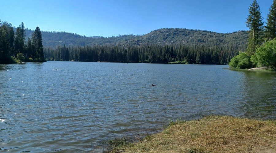 Lake Sequoia 