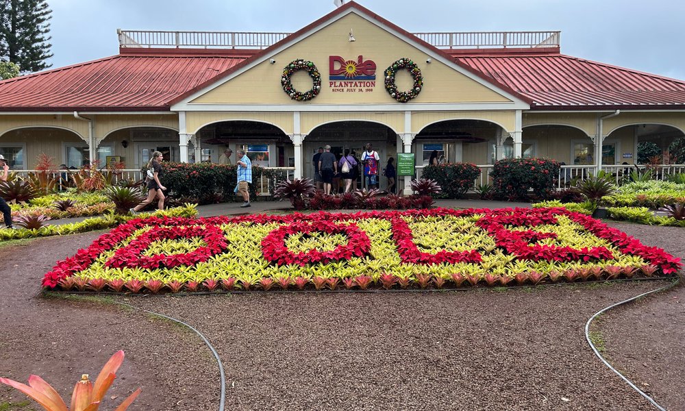Tour de 9 horas por la isla Grand Circle y Haleiwa