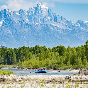 snowmobile tours from jackson hole to yellowstone