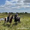 bhangazi horse safaris prices