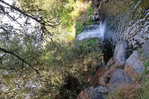 Viajante