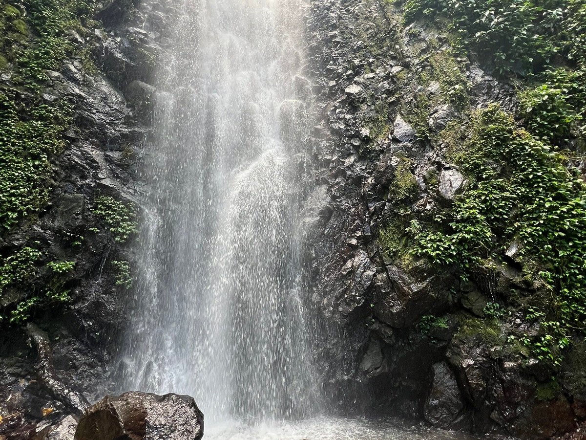 Cascadas El Tigre: 326 fotos - Guanacaste, Costa Rica