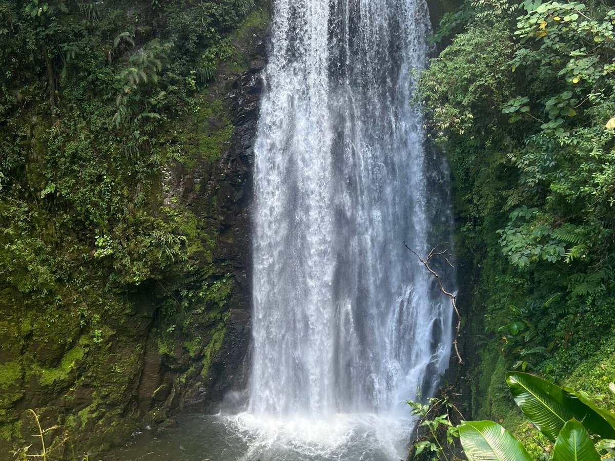 Cascadas El Tigre: 326 fotos - Guanacaste, Costa Rica