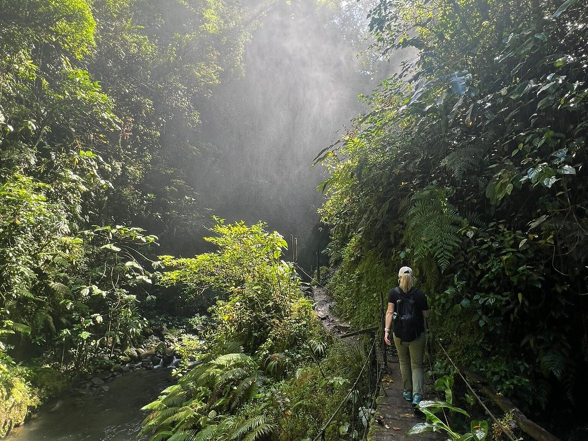 Cascadas El Tigre: 326 fotos - Guanacaste, Costa Rica