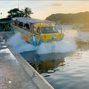 splash iguana tour