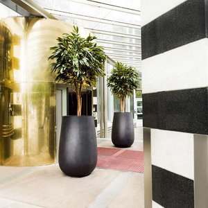 Hotel Entrance