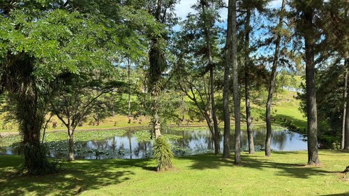 PINE LODGE - Hotel Reviews (Bulolo, Papua New Guinea)