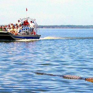 Homestead Florida Airboat Tours