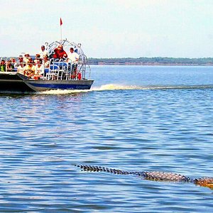 kayak tour experiences