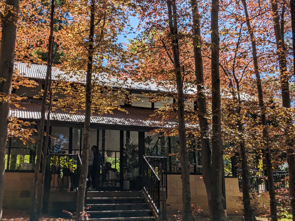 SORENSEN'S GLASSHOUSE AND GARDENS, Leura - Restaurant Avis, Numéro de ...