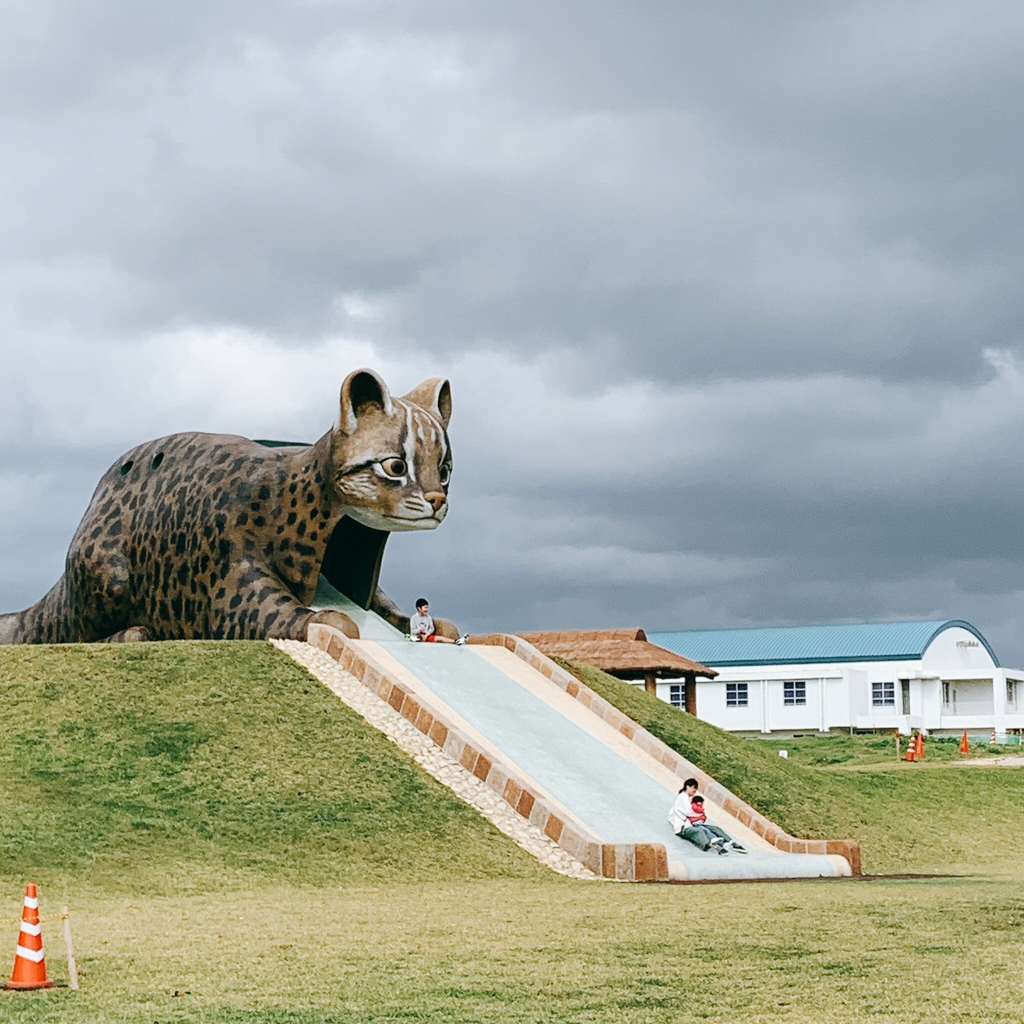 2024年 ンママキーやまねこパーク（西表東部公園） - 出発前に知っておくべきことすべて - トリップアドバイザー