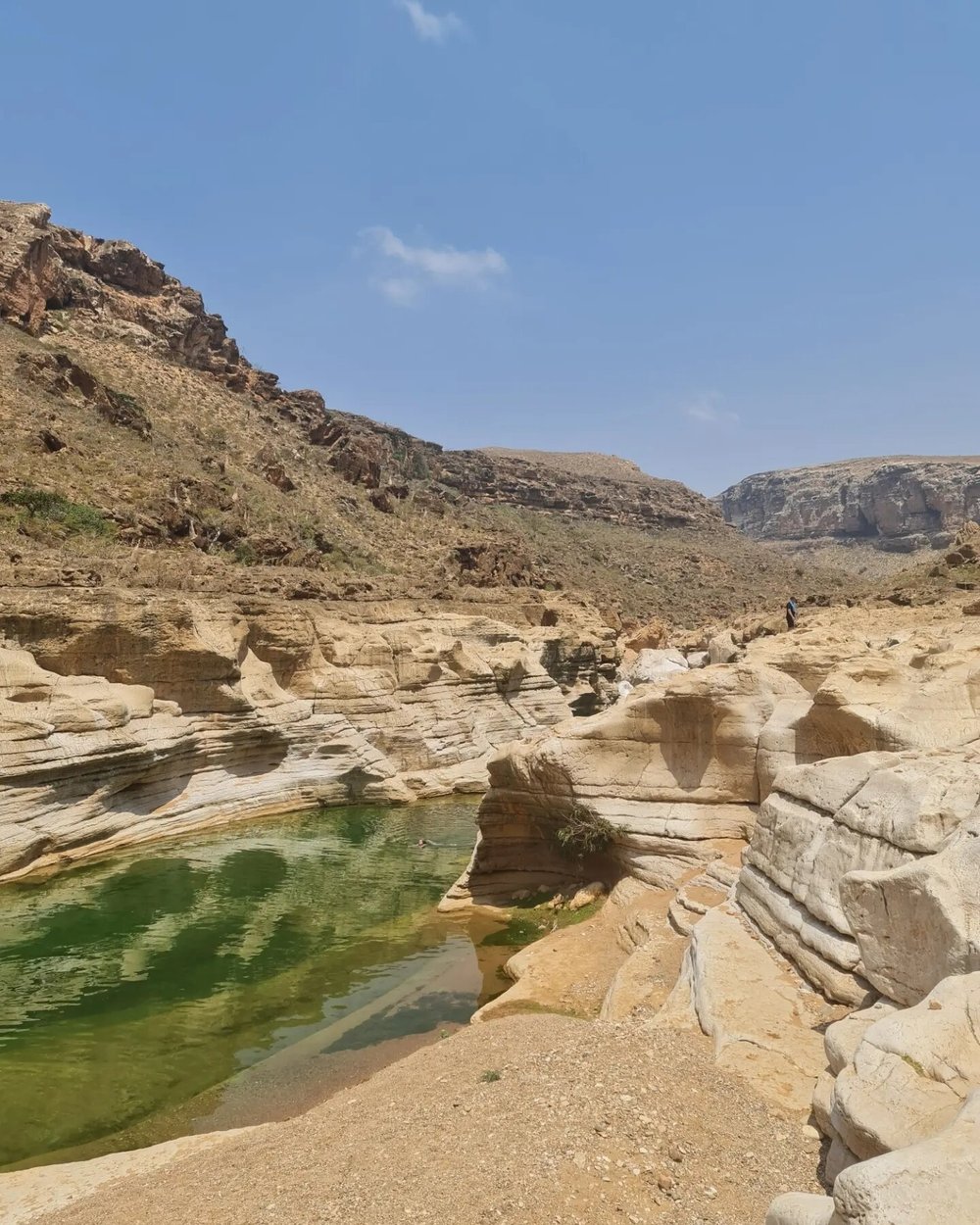 Natural swimming pools